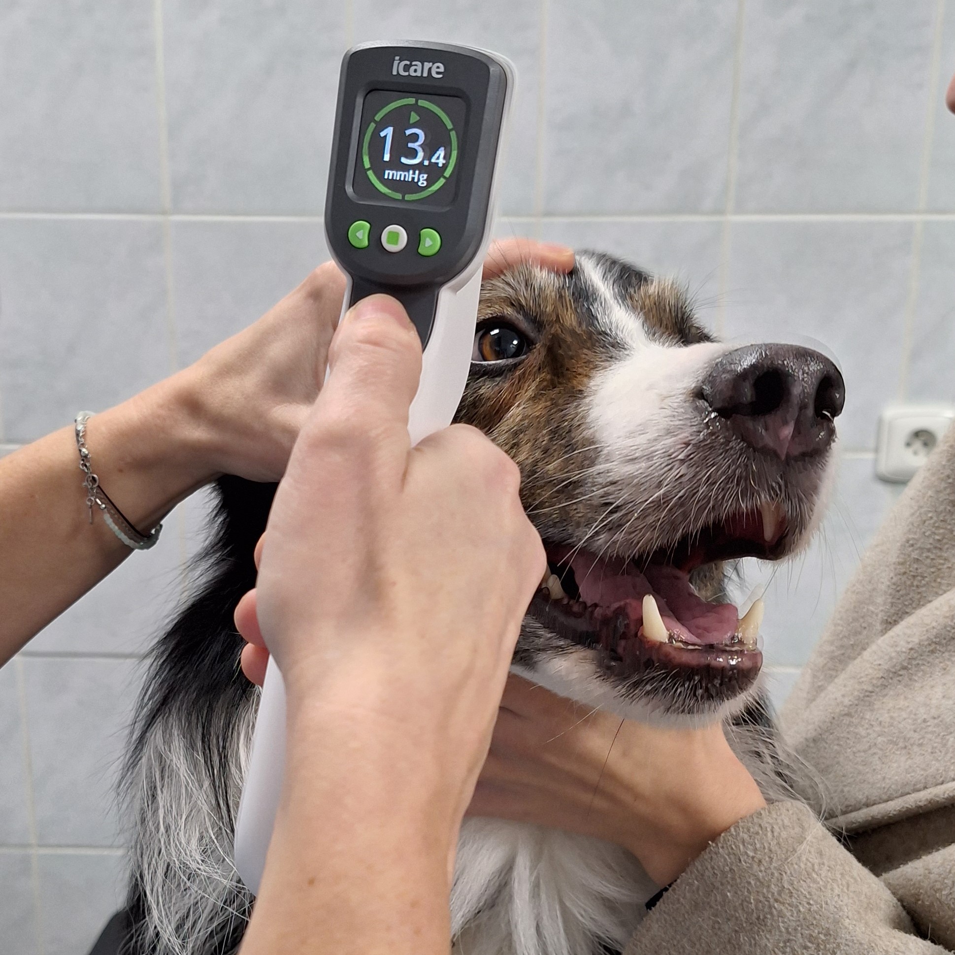 iCare Tonovet Pro k měření nitroočního tlaku | Veterinární klinika Medipet Zlín