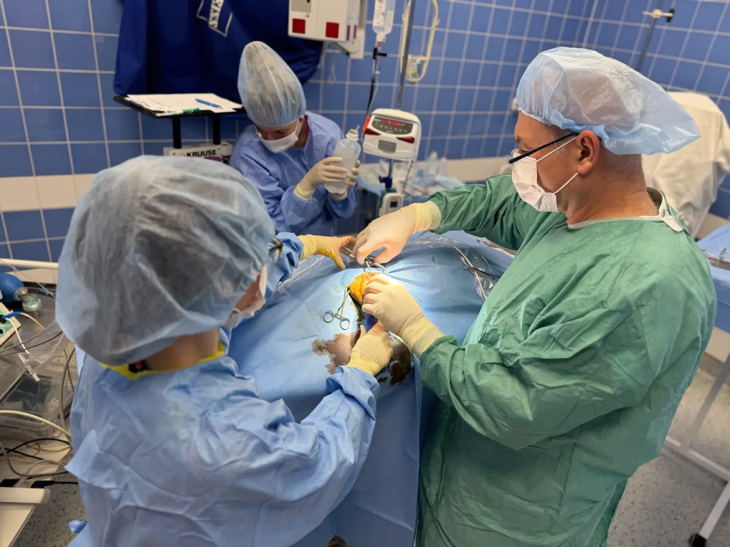 Proč si pro operaci Vašeho zvířete vybrat právě nás? | Veterinární klinika Medipet Zlín