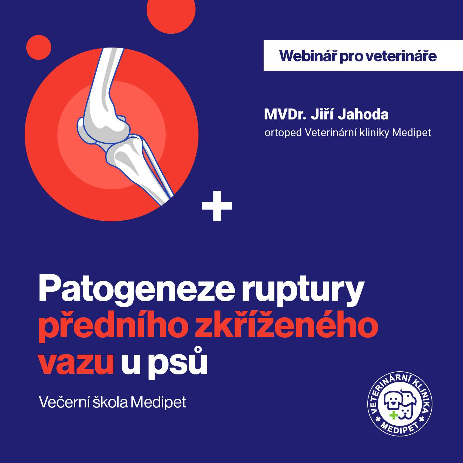 Patogeneze ruptury předního zkříženého vazu u psů.