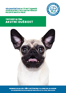 Akutní dušnost - seminář pro veterinární lékaře malých zvířat