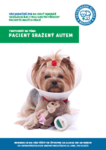 Pacient sražený autem - seminář pro veterinární lékaře malých zvířat