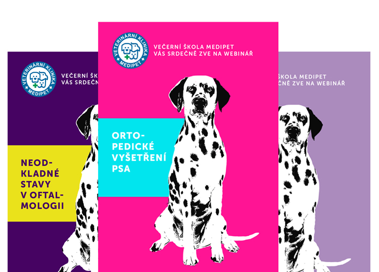 Ortopedické vyšetření psa
