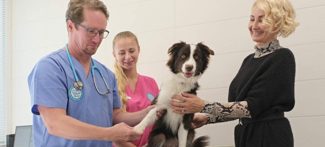 Posuzování dědičných vad