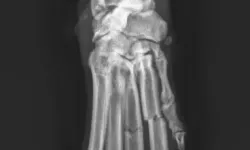 Pacient č.: 1. - rtg před operací  | Veterinární klinika Medipet Zlín