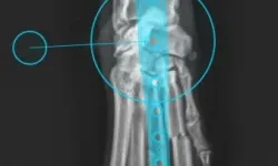 Pacient č.: 1. - před operační plán  | Veterinární klinika Medipet Zlín