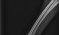 Pacient č.: 2. - rtg před operaci, hypertenze karpu | Veterinární klinika Medipet Zlín