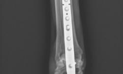 Pacient č. 3. - pooperační rtg | Veterinární klinika Medipet Zlín