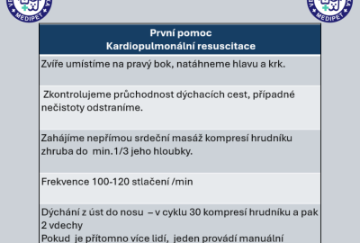 Kardiopulmonální resuscitace u psů (CPR) | Veterinární klinika Medipet Zlín