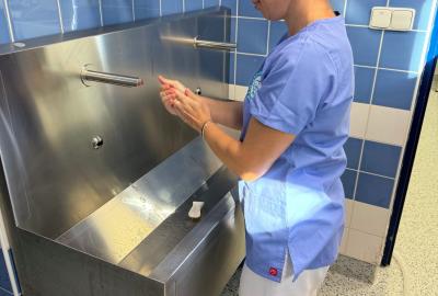 Proč si pro operaci Vašeho zvířete vybrat právě nás? | Veterinární klinika Medipet Zlín