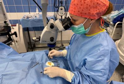 Proč si pro operaci Vašeho zvířete vybrat právě nás? | Veterinární klinika Medipet Zlín