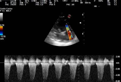 Mytomatózní degenerace mitrální chlopně-spektrální doppler | Veterinární klinika Medipet Zlín