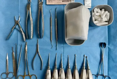 Stomatologie - MVDr. Melanie Mošťková | Veterinární klinika Medipet Zlín