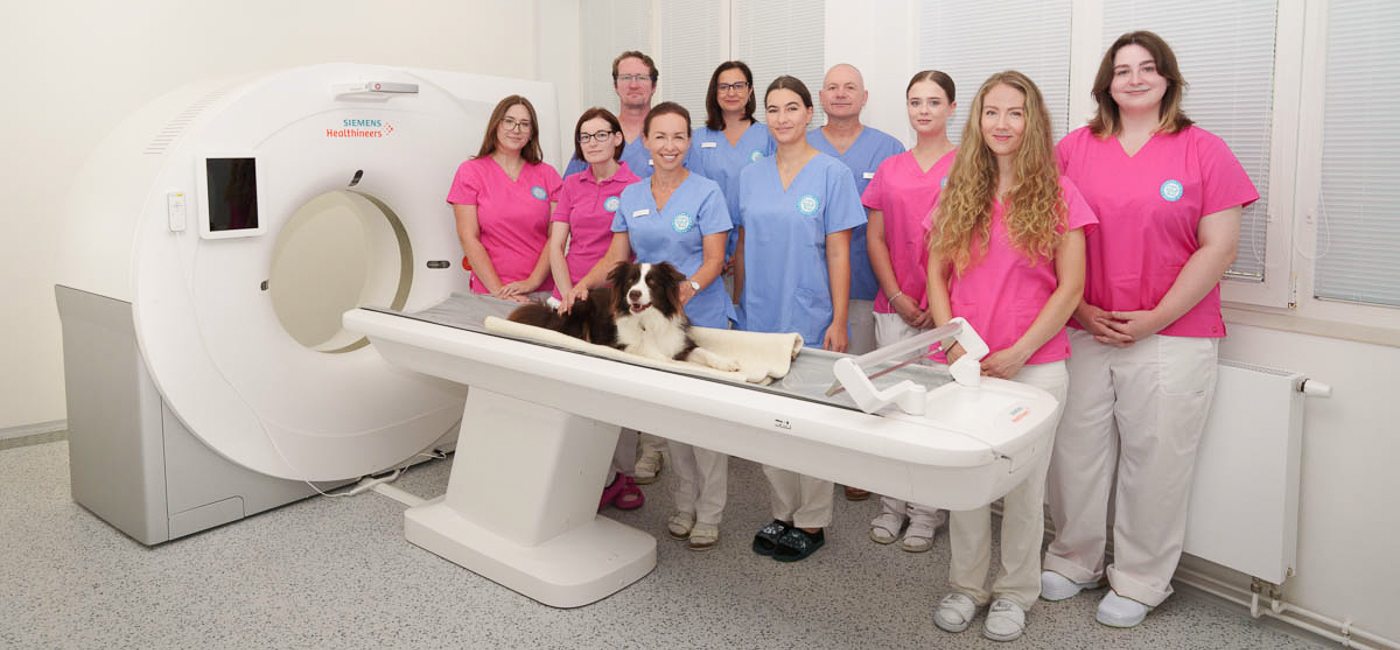 Tým veterinární kliniky Medipet Zlín