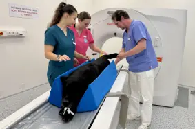 Veterinární endoskopie | Veterinární klinika Medipet Zlín