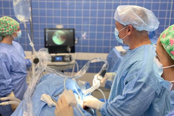 Veterinární endoskopie | Veterinární klinika Medipet Zlín