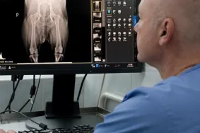 Veterinární ortopedie | Veterinární klinika Medipet Zlín