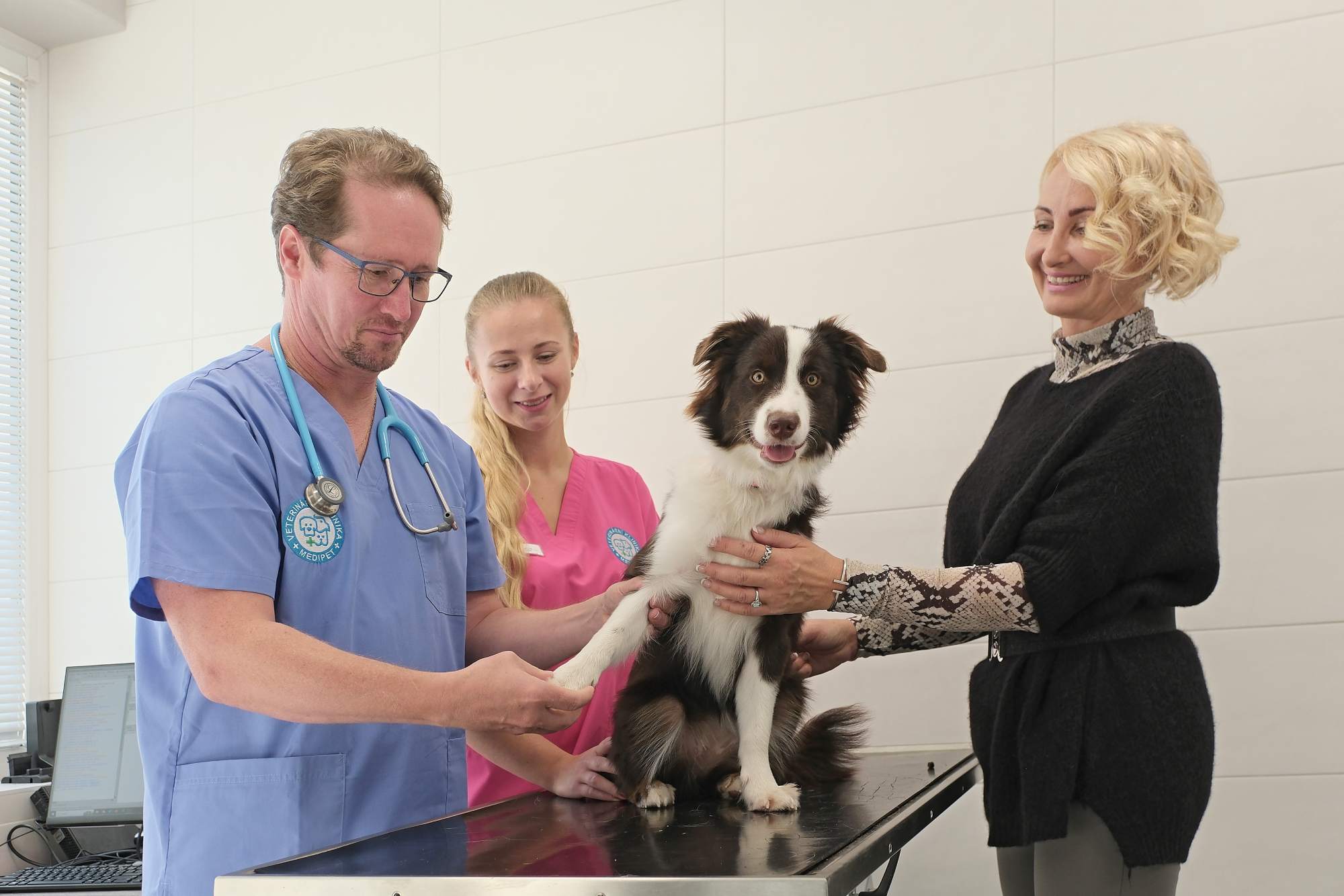 Posuzování dědičných vad | Veterinární klinika Medipet Zlín